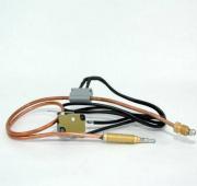 Thermocouple with micro switch 